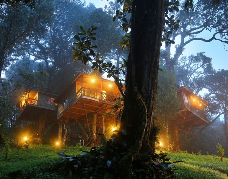 best kerala tree house packages