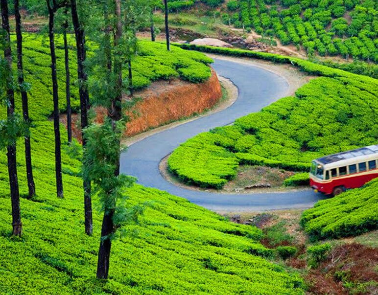 kerala travel package