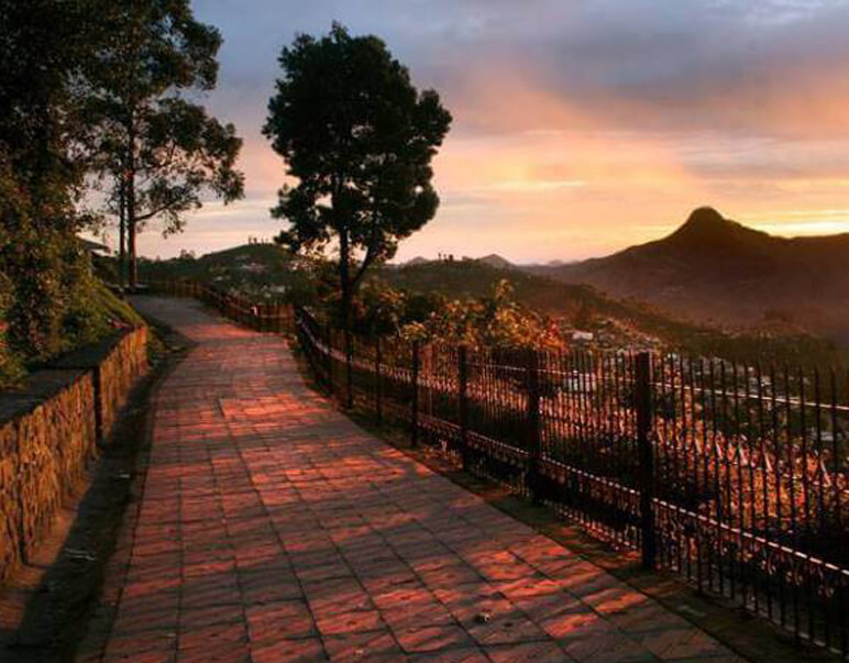 best kodaikanal tour packages from chennai