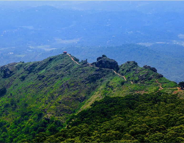 best kodaikanal tour packages from chennai