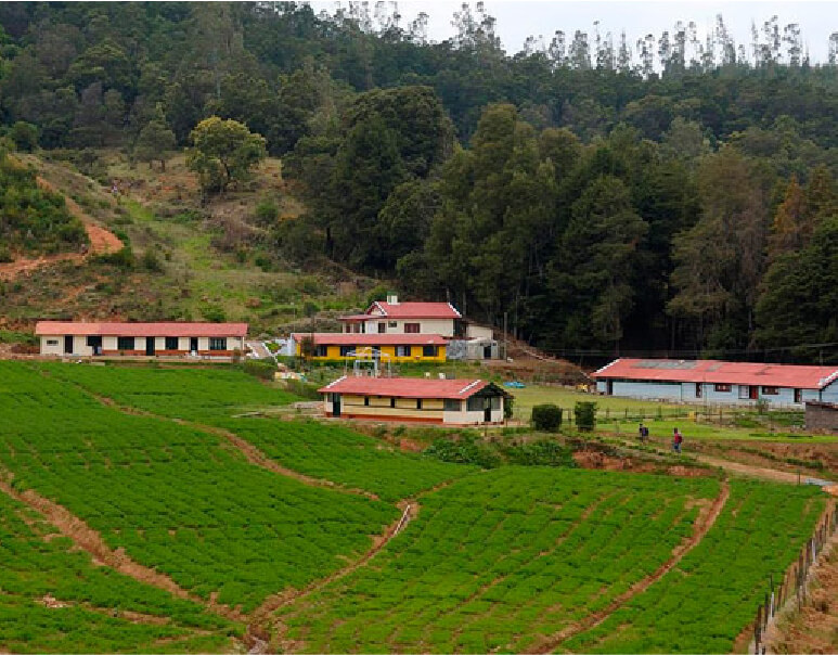 best kodaikanal tour packages from chennai