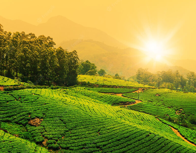kerala luxury tour packages