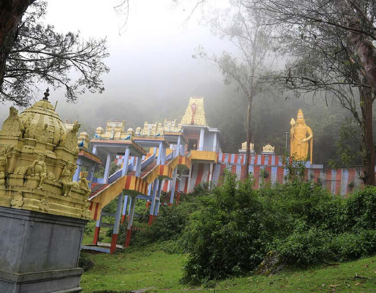 chennai to ooty tour packages by car
